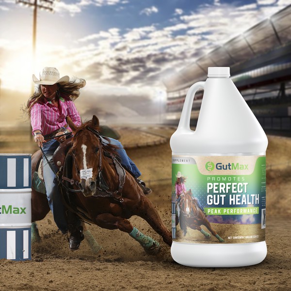 Horse Gut Health Gallon Label