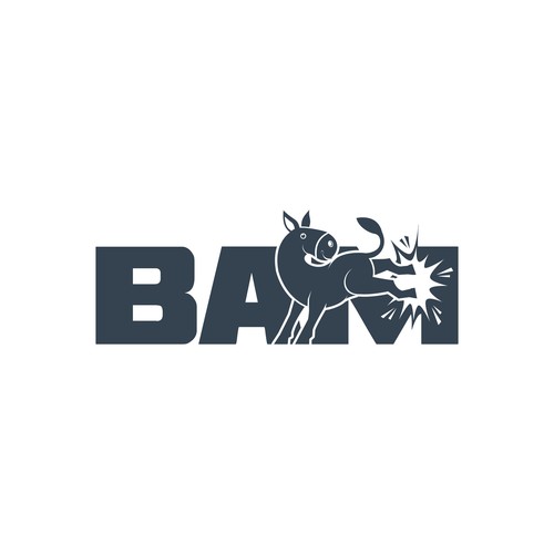 BAM *updated 6/12 read brief Design by Dendir