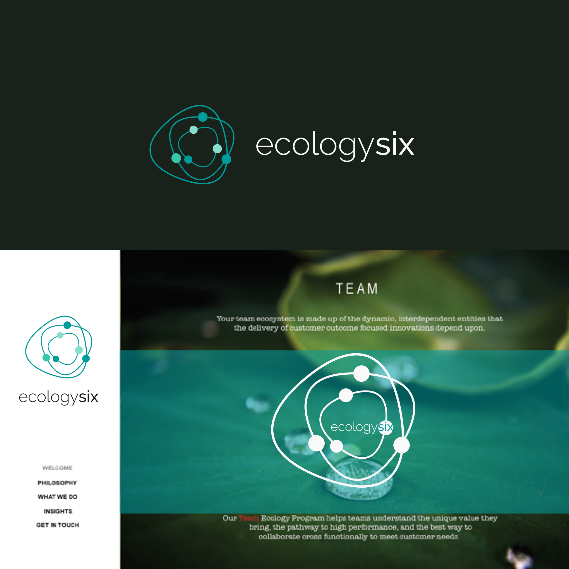 Ecosystem Logos - Free Ecosystem Logo Ideas, Design & Templates