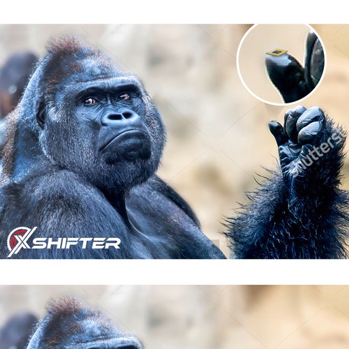 Banner ad contest entry by karundesigns