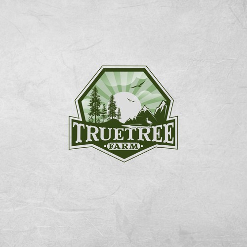 Organic logo for high elevation tree farm in Arizona. Design by Mayes