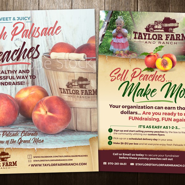 Brochure / Flyer design