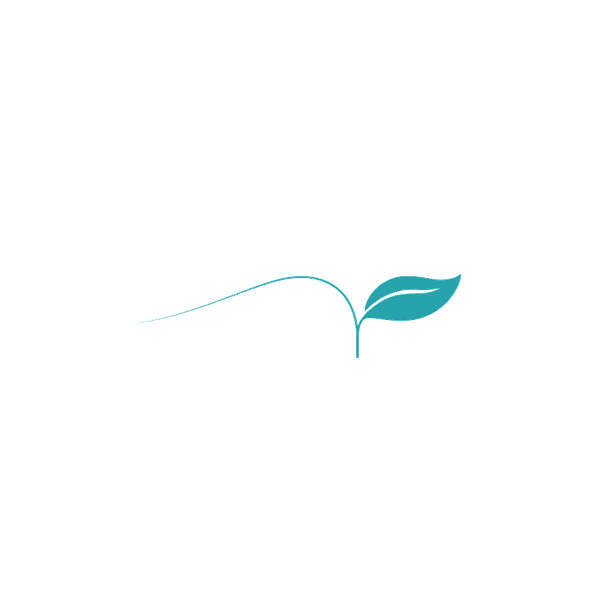 A small leaf takes the scene