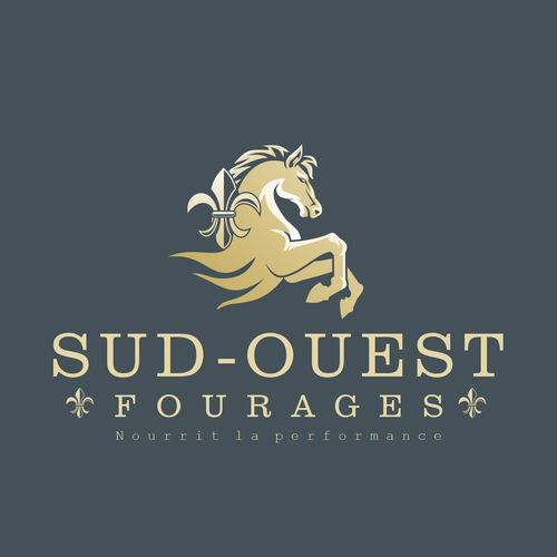 Logo design contest entry by Vandi septiawan