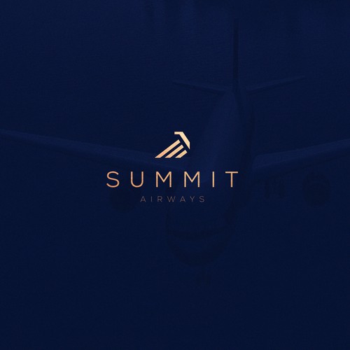 Airline Logo Branding Design by Amreena Arsalan™