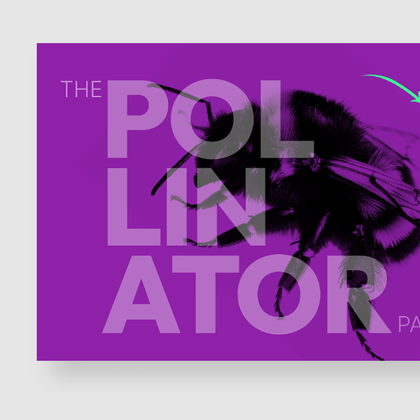 Contest Winner Presentation