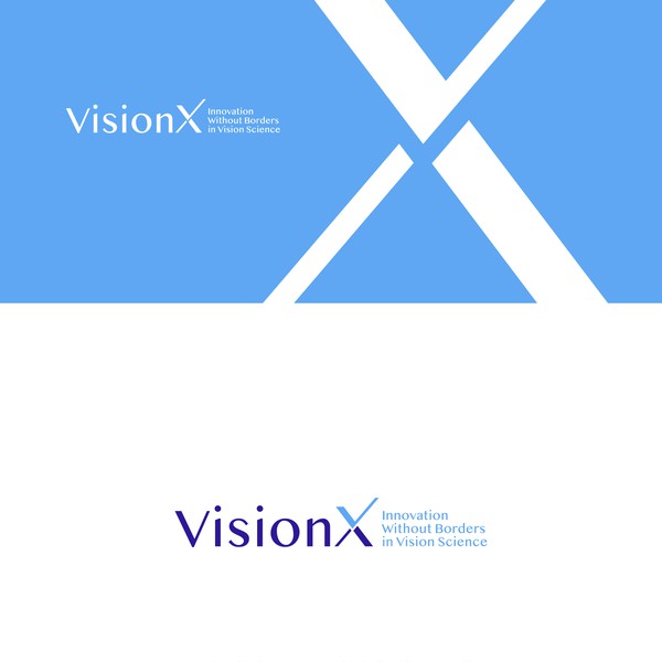 vision x