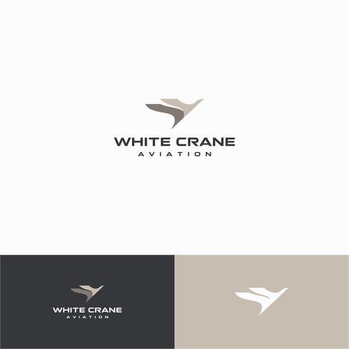 Logo for a Safe and Modern Aircraft rental company Design by TwoTones™