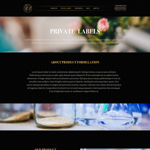 Black & gold themed website design Réalisé par NickMiar