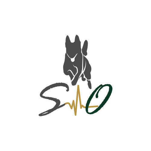  contest entry by Rziko1