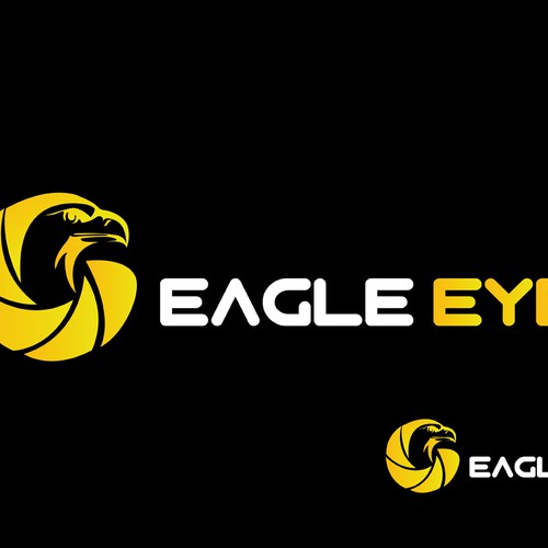 Create a logo with an eagle+camera lens eye or car+dashcam for Eagle ...