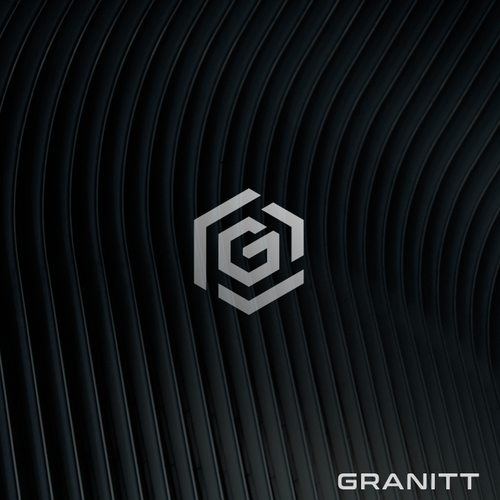 Logo to represent cybersecurity for high-risk people Design by FS1TO