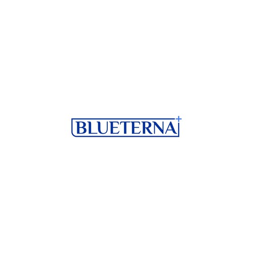 Blueterna Branding contest Design by DZL24