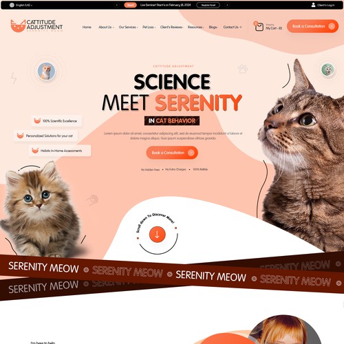 Create a website refresh for a cat behavior consultant! Design by Isaac Creative