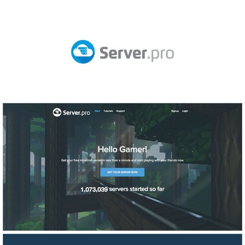 Professional game server hosting