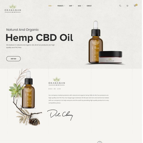 WordPress theme design contest entry by Paiton