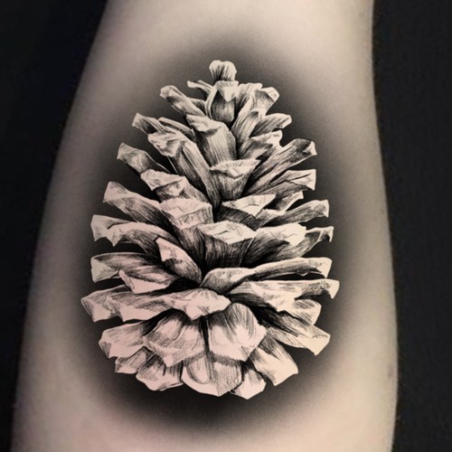 Pine Cone Tattoo Design Design by ANTICON