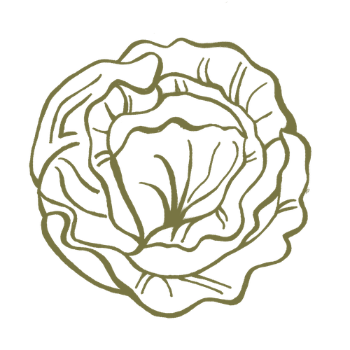 FFTY-Icons-Lettuce.png