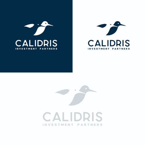 New Private Investment Firm Design by mnuh