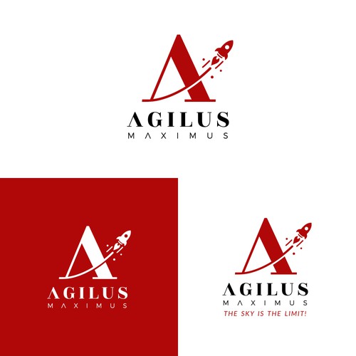 Logo for project "agilus-maximus.com" Design by MOHStudio_