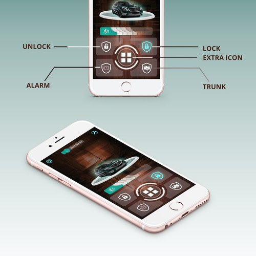 Car Remote Control App (possible 1 on 1 deal follow up) App design