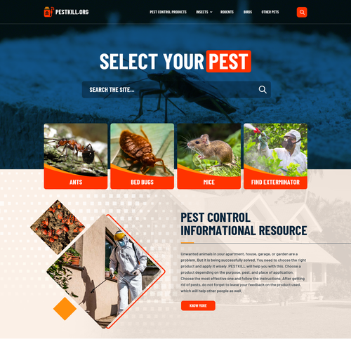 WordPress theme design contest entry by SAI Web