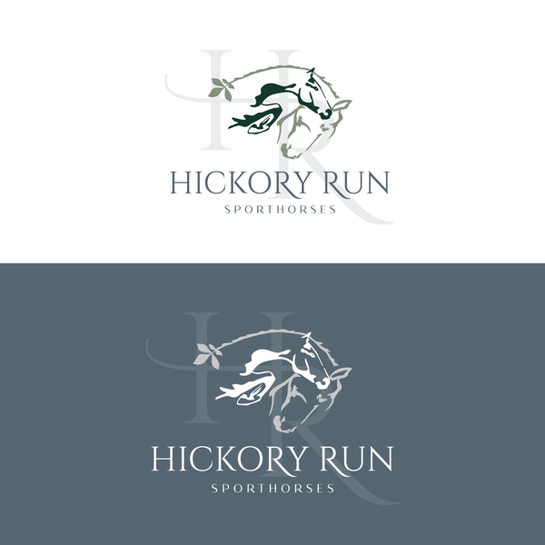 Concept for a Sporthorse Business