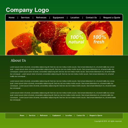 1-3 Page Website Template Design von vinodkhakra