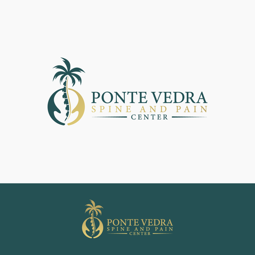 Spine and Pain Medical Practice in Florida Design by Alexa_27