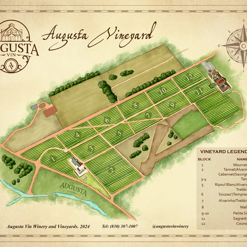 Artist interpretation of a Vineyard map Design by Jezzus
