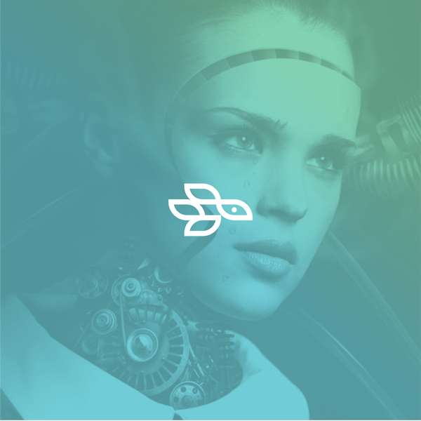 Design by Kabul™ titled "Monoline birds concept"