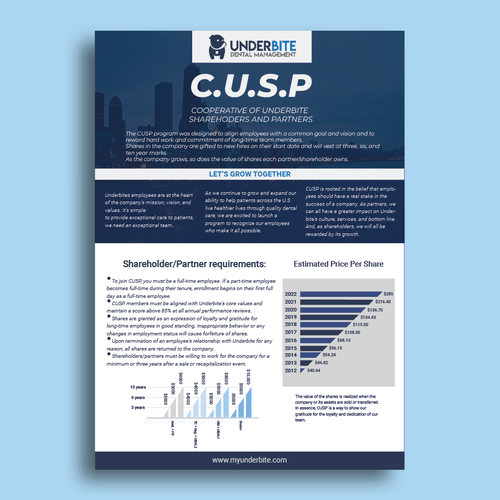 Company Stock Grant Plan Infographic Flyer/document Design by SeemabArt