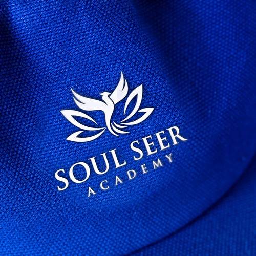 Streamlined ‘iconic’ logo for a spiritual development academy. Design by Schöpfer
