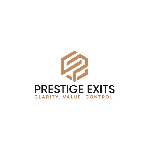Logo & Brand for Boutique Advisory Design by S H A Y