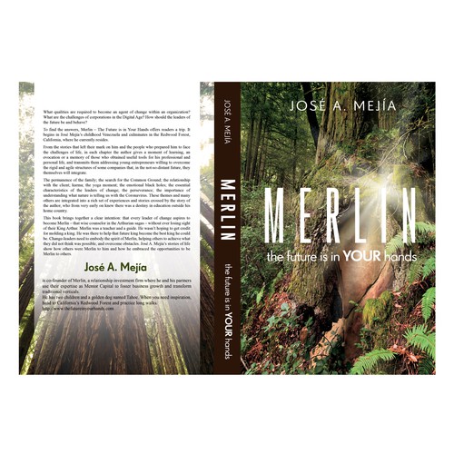 Book Cover Design for a  Personal Development Book Design by TRIWIDYATMAKA