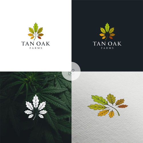 Design a logo for a family run legal cannabis farm! Design réalisé par kerman