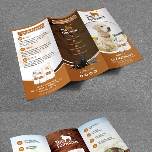 Brochure contest entry by Design House™