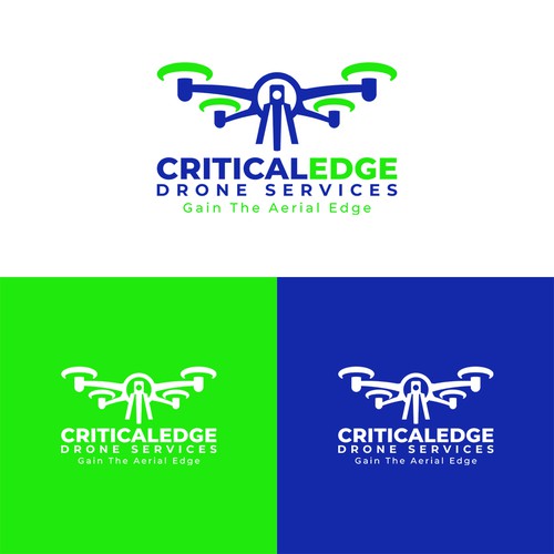 We need a logo design for new Drone inspection and survey company Design by Creative Dope