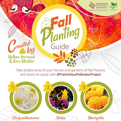 Fun Fall Festive Planting Guide Needed for University In Texas Design von ArtBells