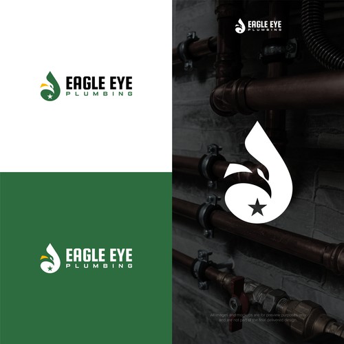 Eye catching and very marketable logo for plumbing company. The company name is Eagle Eye Plumbing Design by kerman
