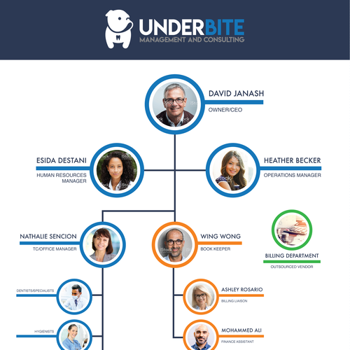 Organizational Chart for Dental Group Design by emilypconley