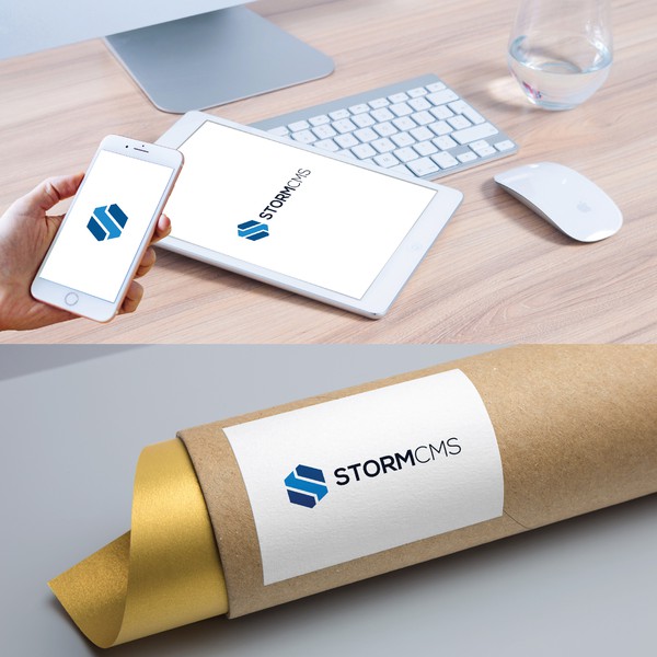 Design by lipi1719 titled "StormCMS"