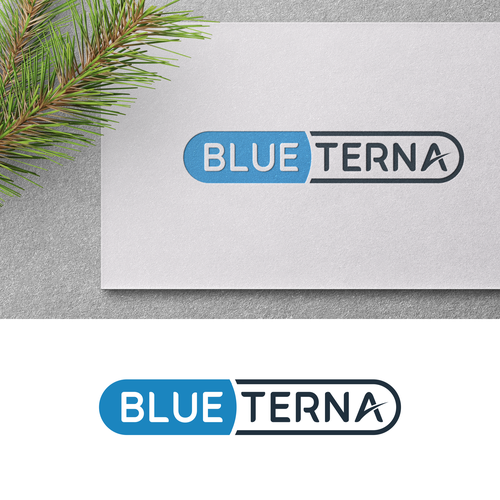 Blueterna Branding contest Design by syafnamedia