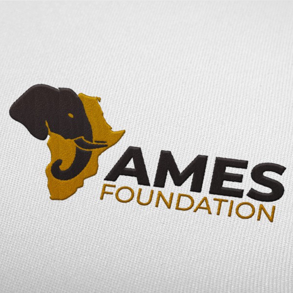 Design by LUIS-MIGUEL titled "AMES FOUNDATION"