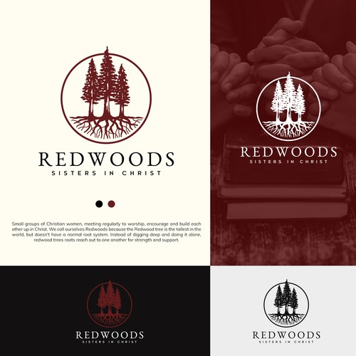 Design powerful imagery of Redwood tree roots that speak to Christian women small groups Design by jnc