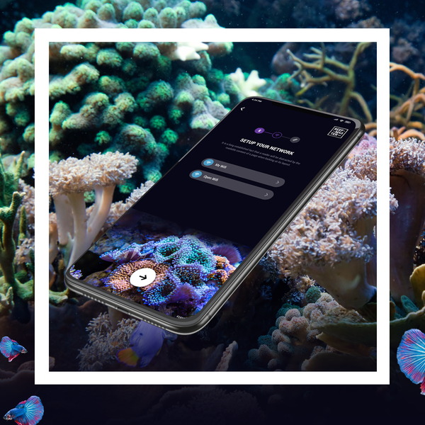 iPhone App Design for Reef Aquarium Device
