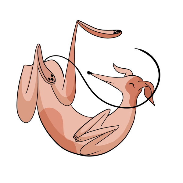 Illustration with dog for merchandise