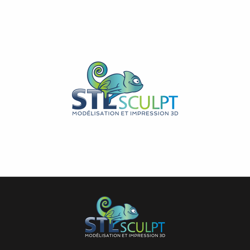 Logo design contest entry by Newton de Castro