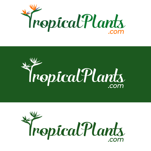 Logo Design for TropicalPlants.com