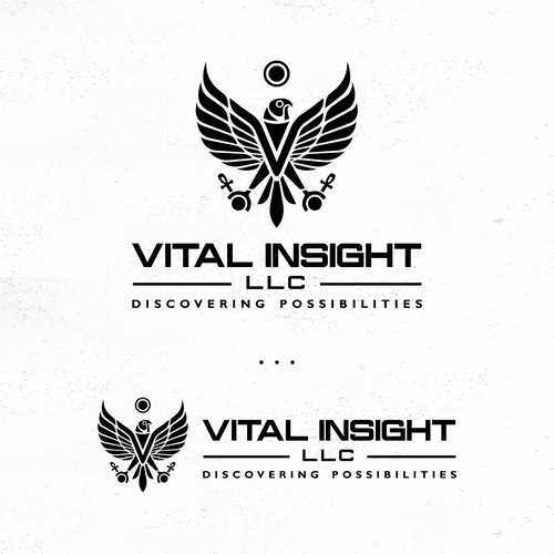 Redesign an Egyptian Image for a New Consulting Firm Design by jimzz